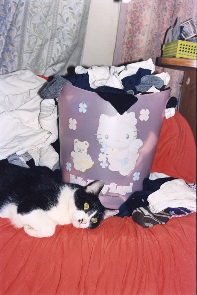 Motoyuki Daifu, My Family 14