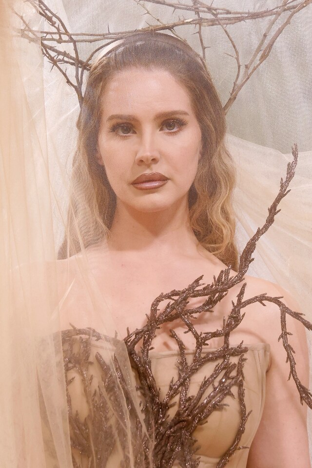Lana del Rey’s beauty evolution 23