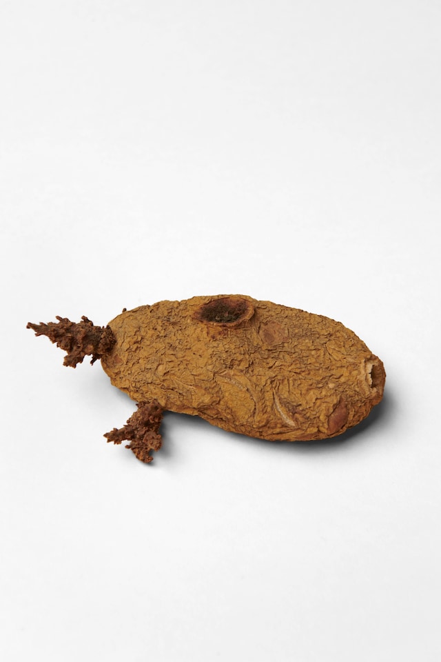 Tricker&#39;s Cabin Online Ceramics book 1