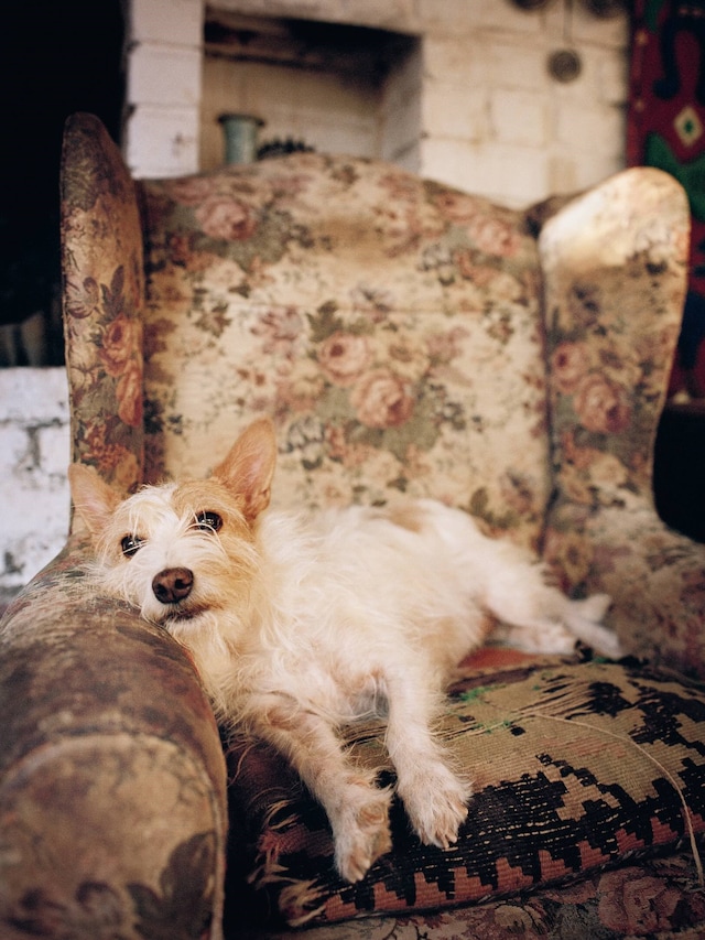 Scenery Magazine Number Two Simon B M&#248;rch 5