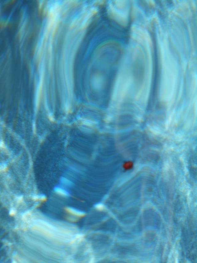Ramona Jingru Wang, Poor Image 5