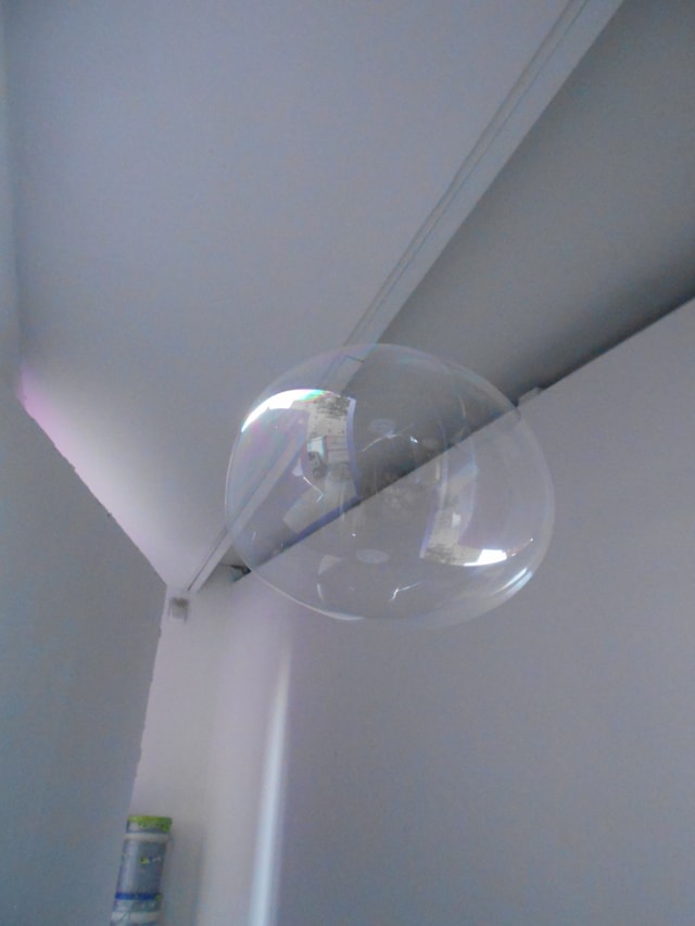 Ramona Jingru Wang, Poor Image 16