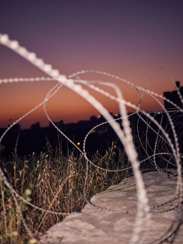 Greg Holland, Resistance: Art for a Free Palestine (2024) 1