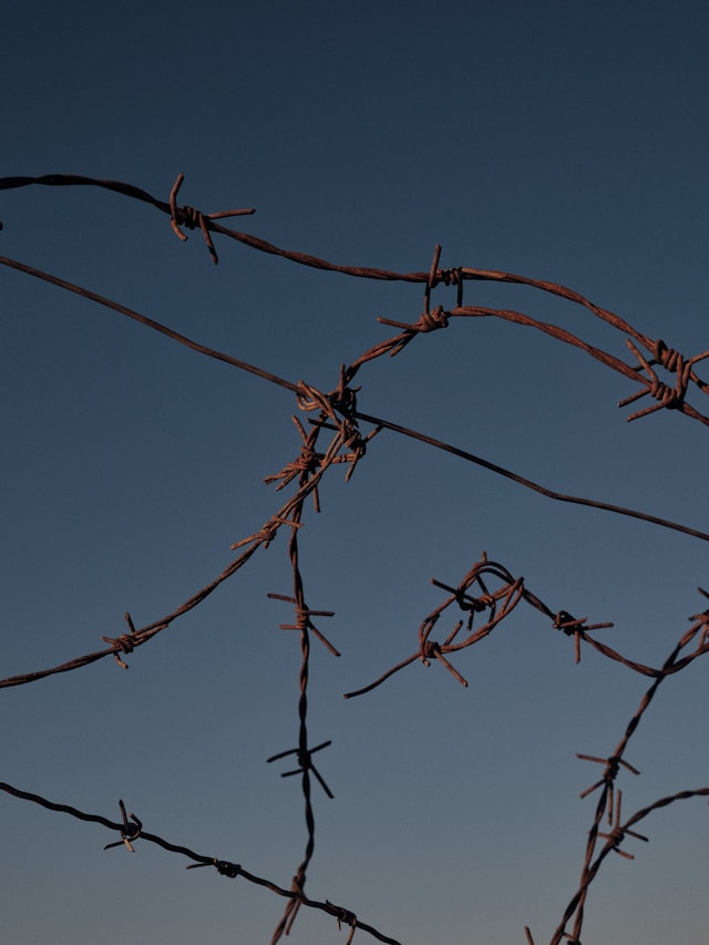 Greg Holland, Resistance: Art for a Free Palestine (2024) 17