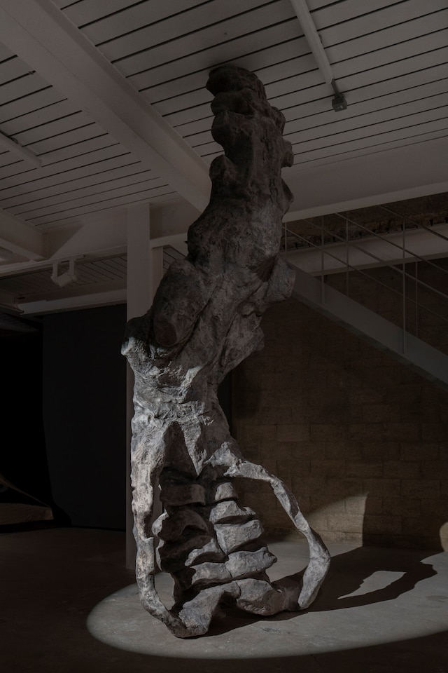 Wynnie Mynerva, My Weaponised Body (2025) 1