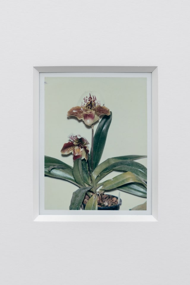 Marco Capaldo Cork Street Frieze show 12