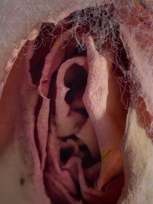 Sensored 03 (2024) 12