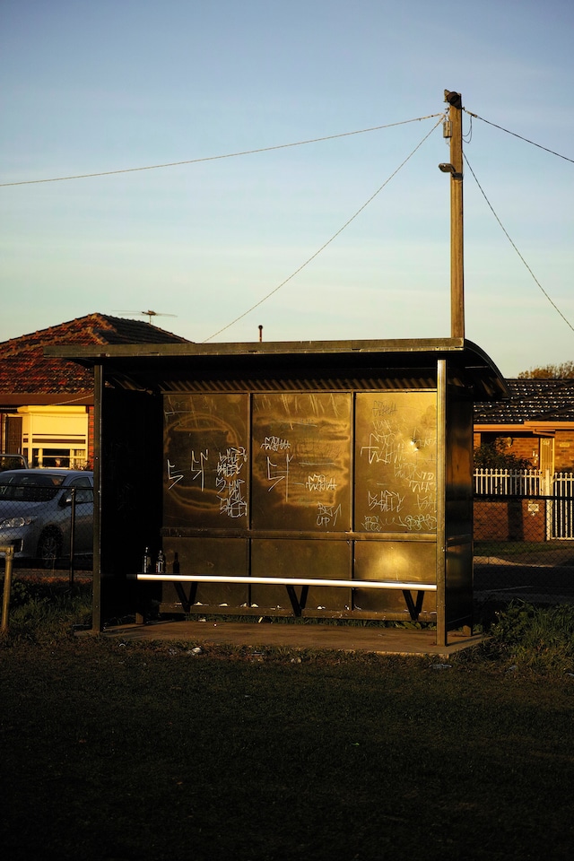 Somesuch Stories 8 (2024) 16