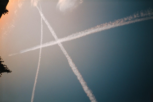 Vinca Petersen, Anarchy Sky, 2000