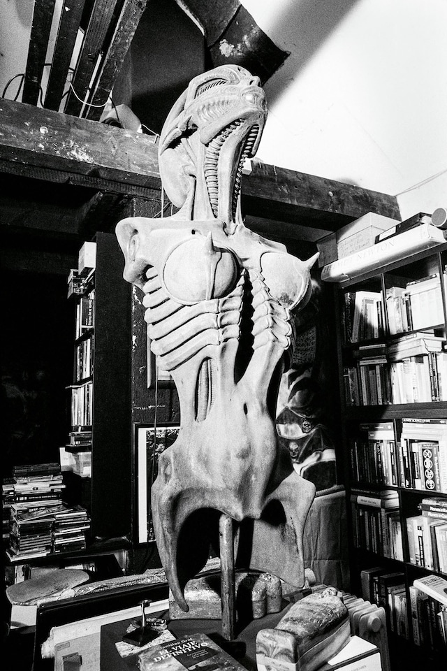 Camille Vivier, HR Giger (2022)