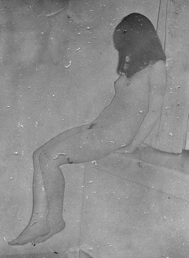 Daisuke Yokota, untitled from taratine series (2015) 20