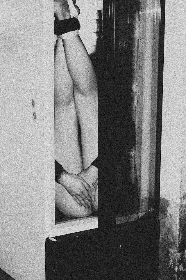 Xiu Liang, Storage Animal (2016) 3