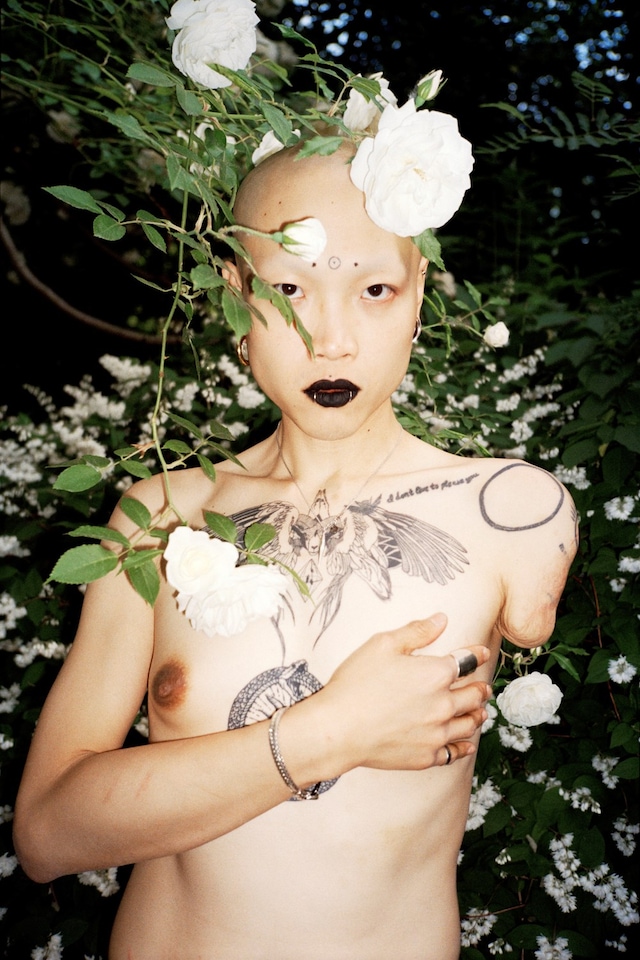 Luo Yang, Diaspora Birds 8