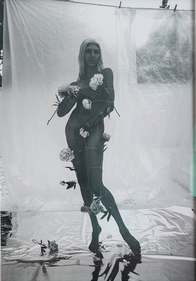 Transfeminisms, Chapter II: Radical Imagination 7