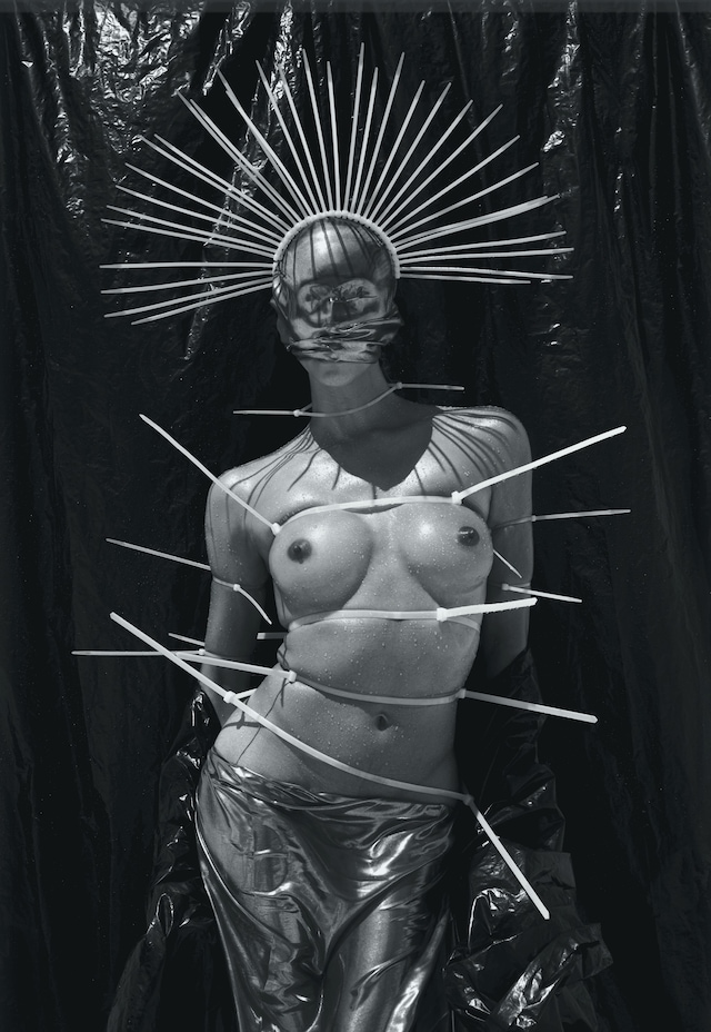 Transfeminisms, Chapter II: Radical Imagination 0