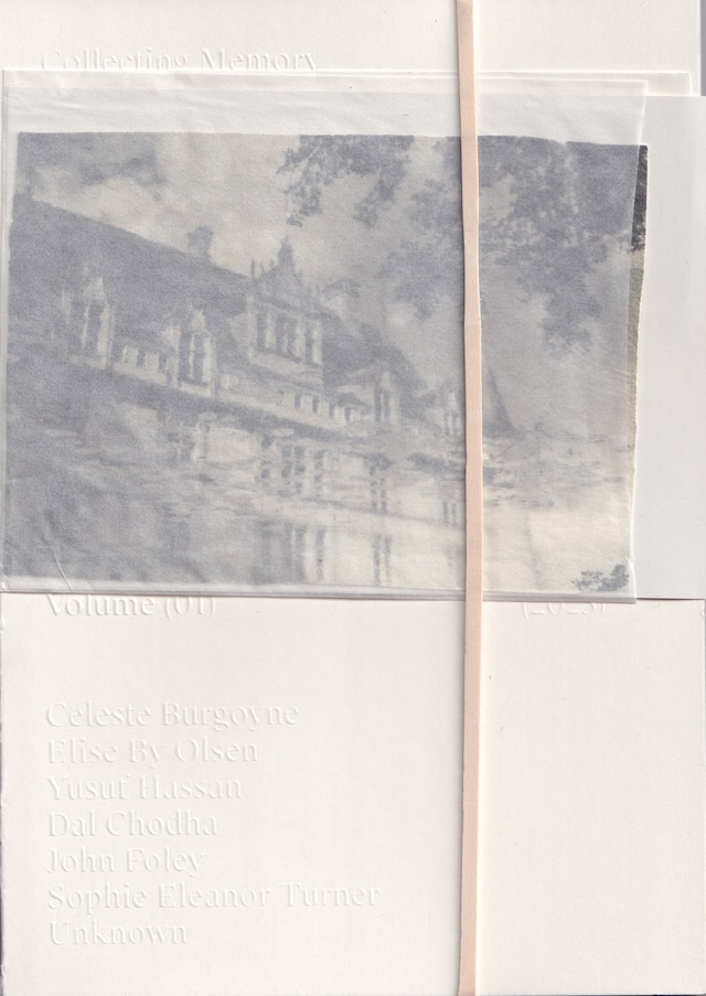 collecting memory_cover 3
