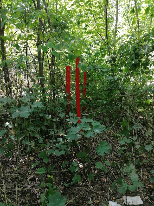 2_Artwork Kristijan Radakovic 2 Hasenheide 3