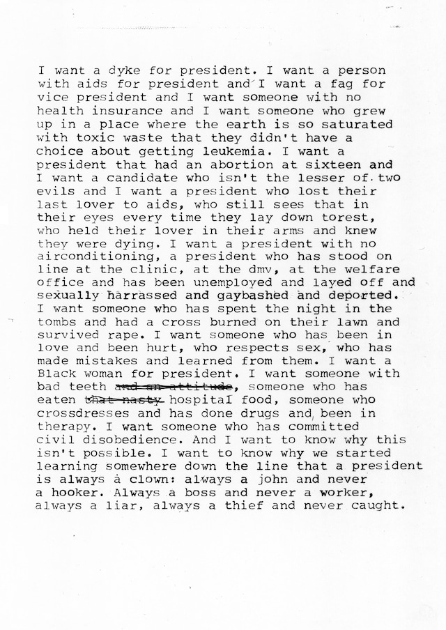 2_Artwork Zoe Leonard - I Want A President print 9