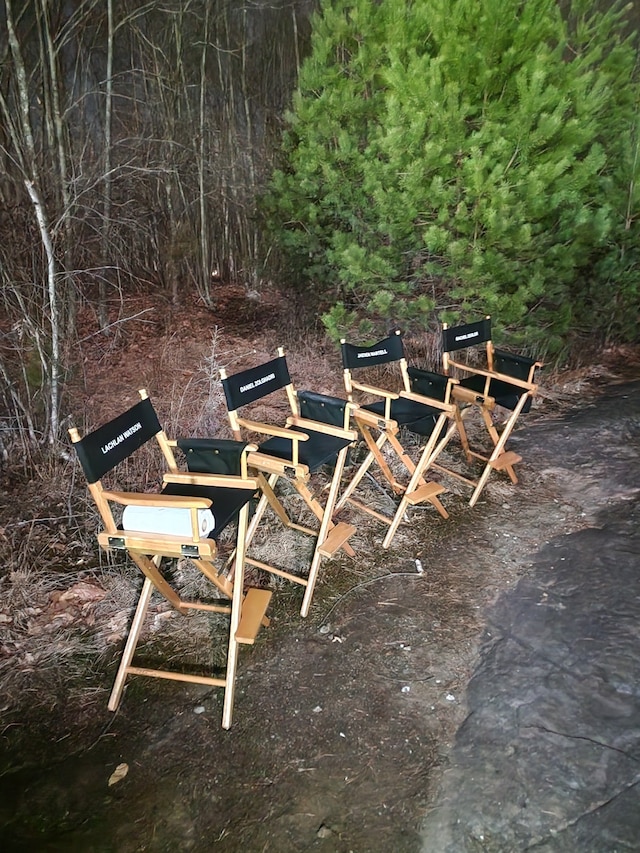 Y2K film fred durst 4