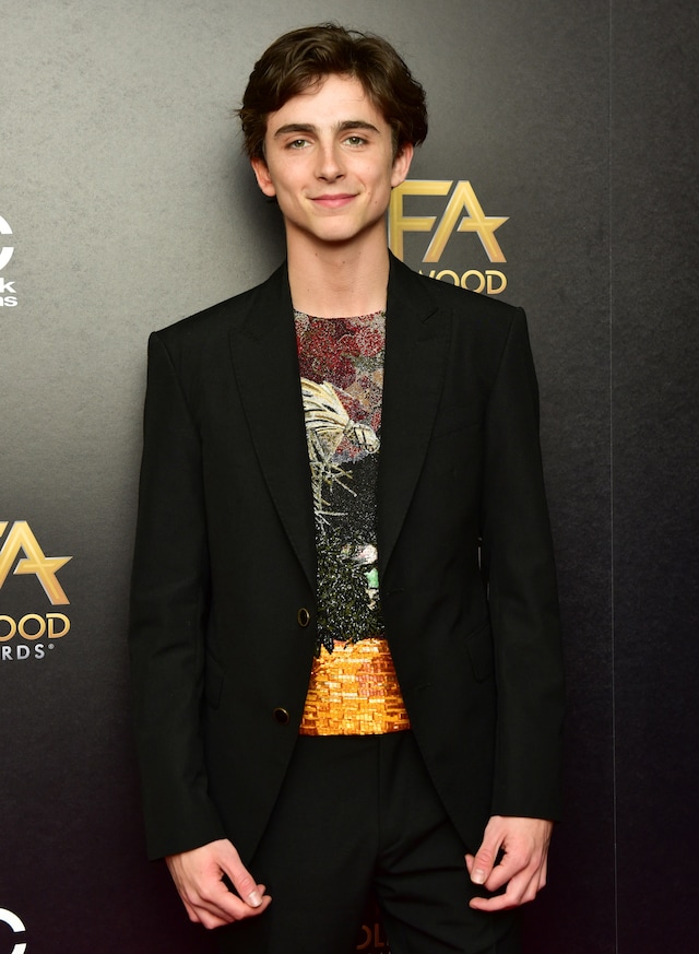 Timoth&#233;e Chalamet best looks 17