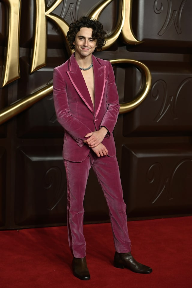 Timoth&#233;e Chalamet best looks 24