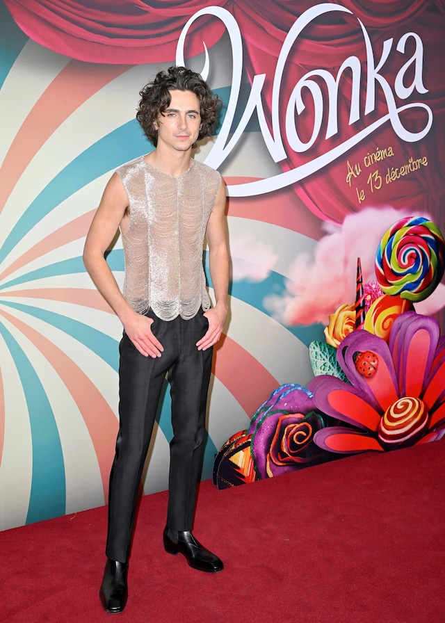 Timoth&#233;e Chalamet best looks 25