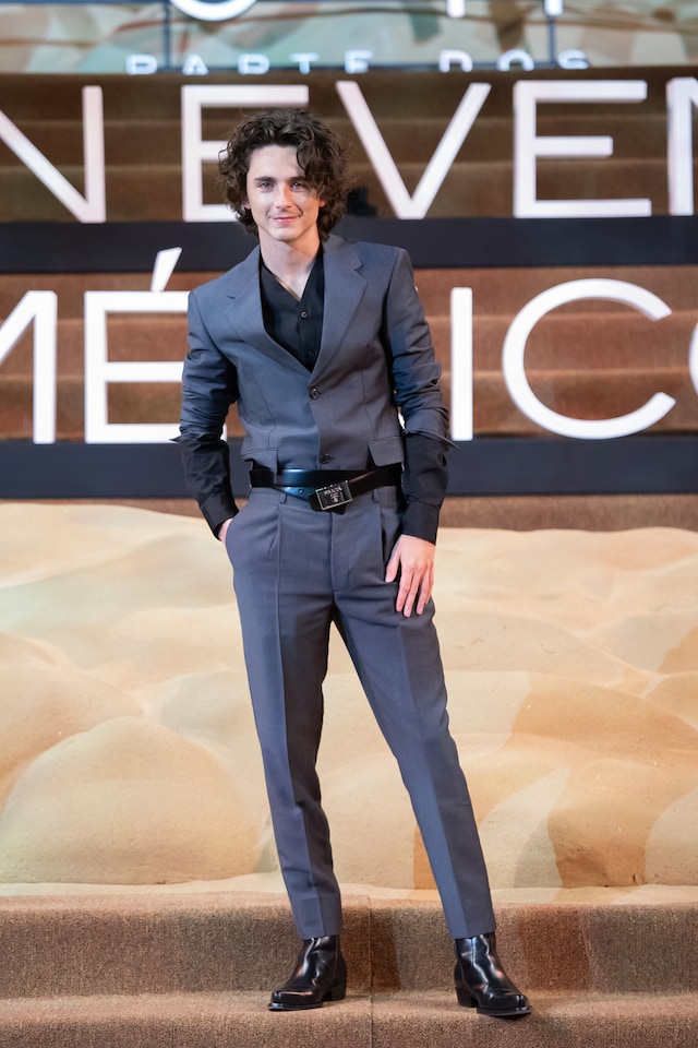 Timoth&#233;e Chalamet best looks 26