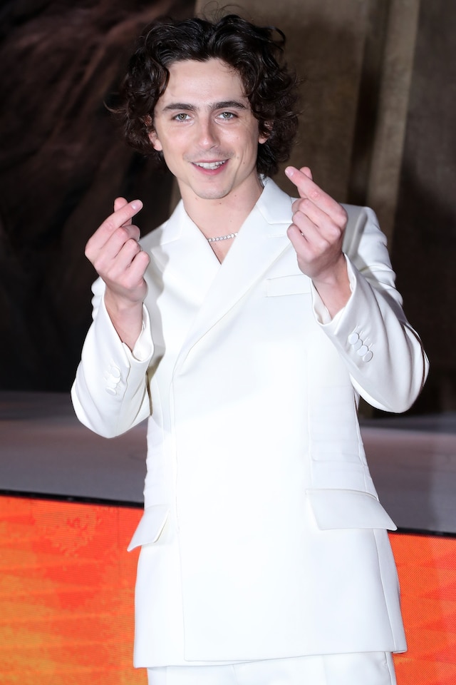 Timoth&#233;e Chalamet best looks 28