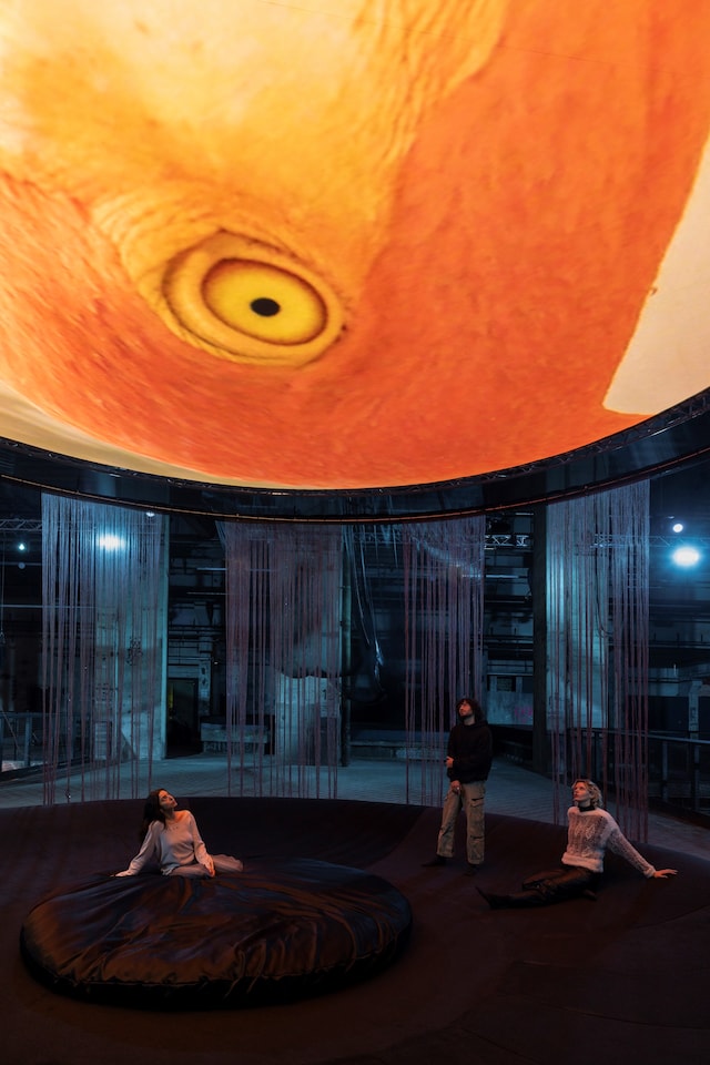 Laure Prouvost, We Felt A Star Dying (2025) 1