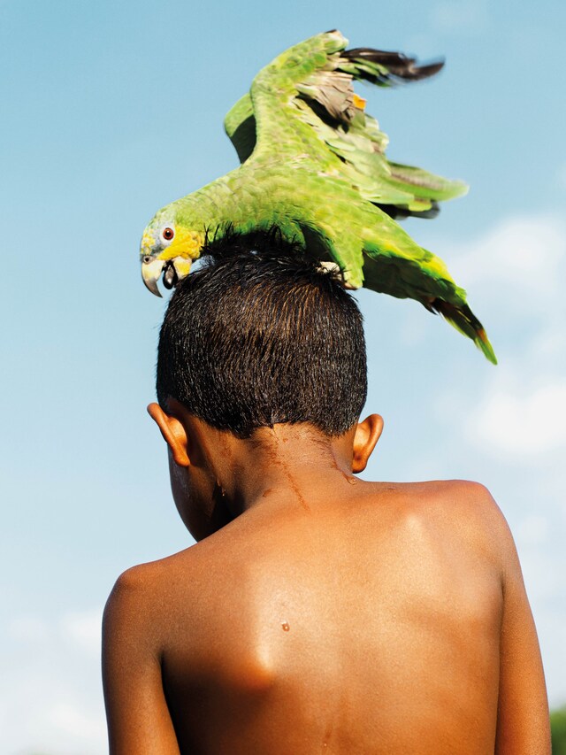 Gleeson Paulino: Echoes Of The Amazon 4