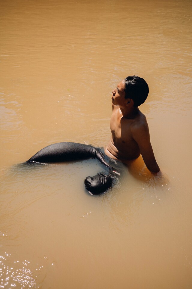 Gleeson Paulino: Echoes Of The Amazon 0