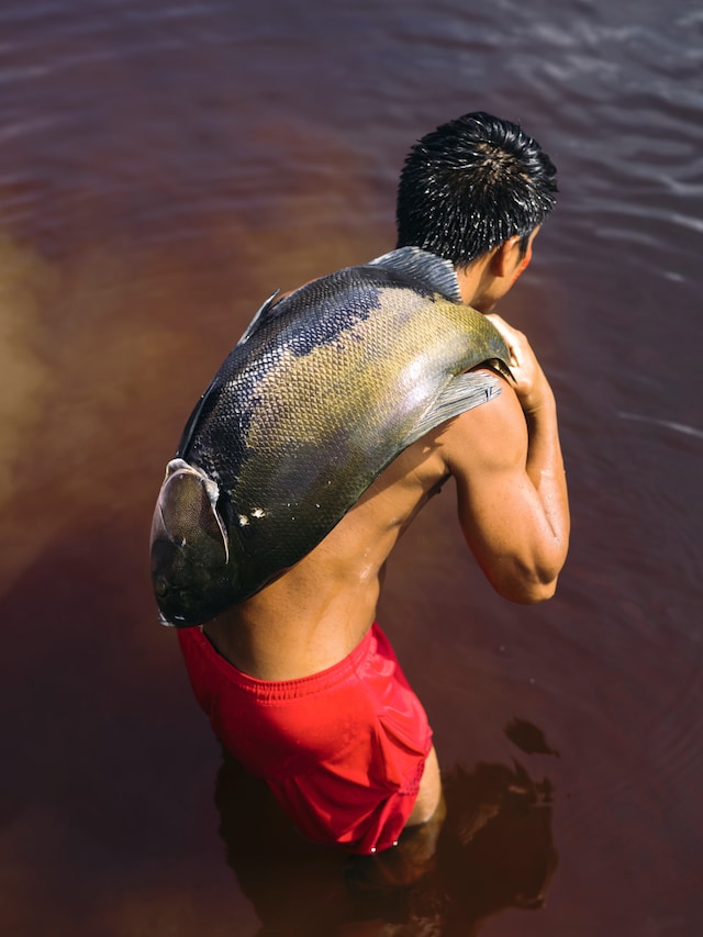 Gleeson Paulino: Echoes Of The Amazon 6