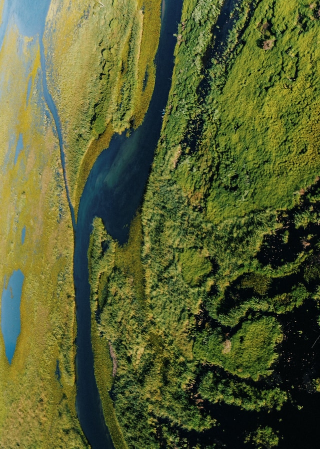 Gleeson Paulino: Echoes Of The Amazon 9