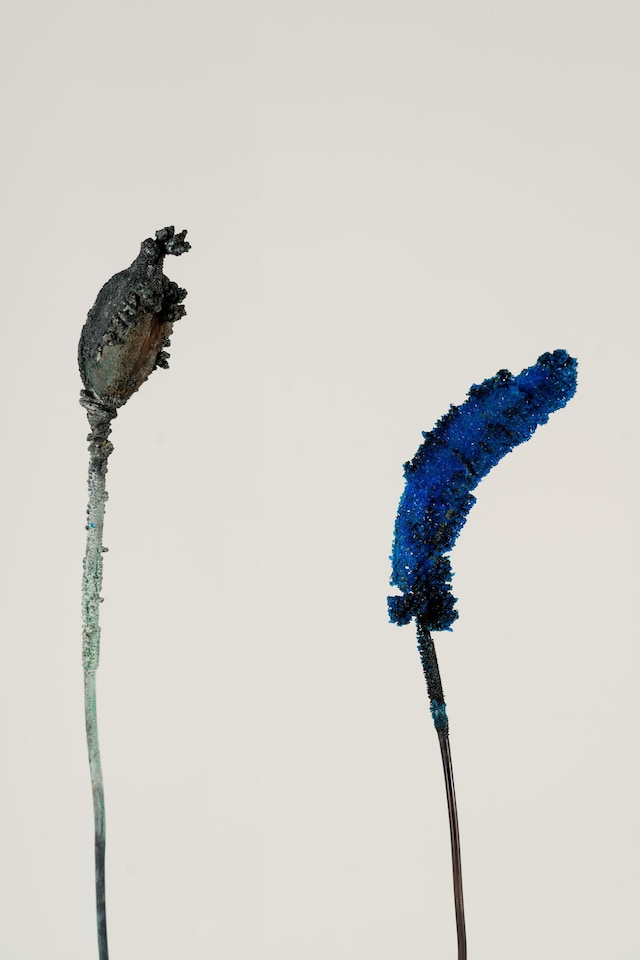 Gallery Weekend Berlin 2025 16