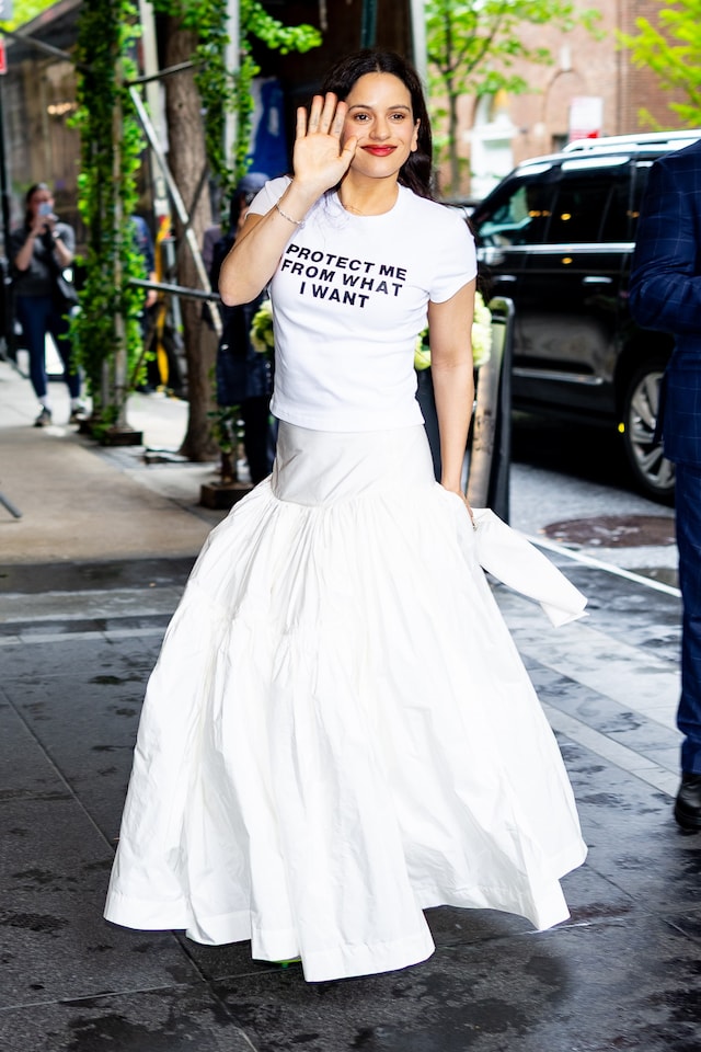 Pre-Met Gala pap walk 3