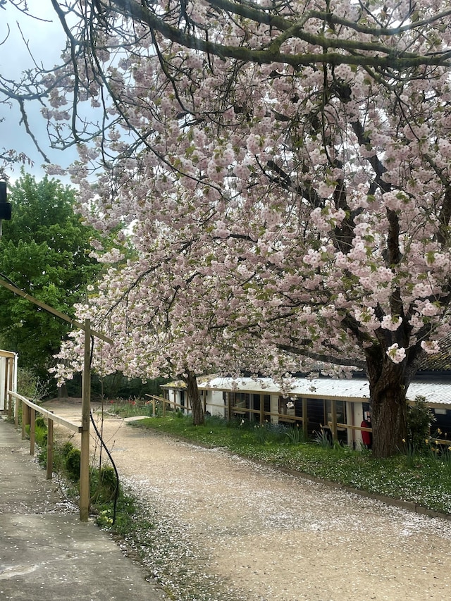 Silent meditation retreat 10