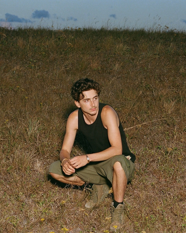 Timothée Chalamet