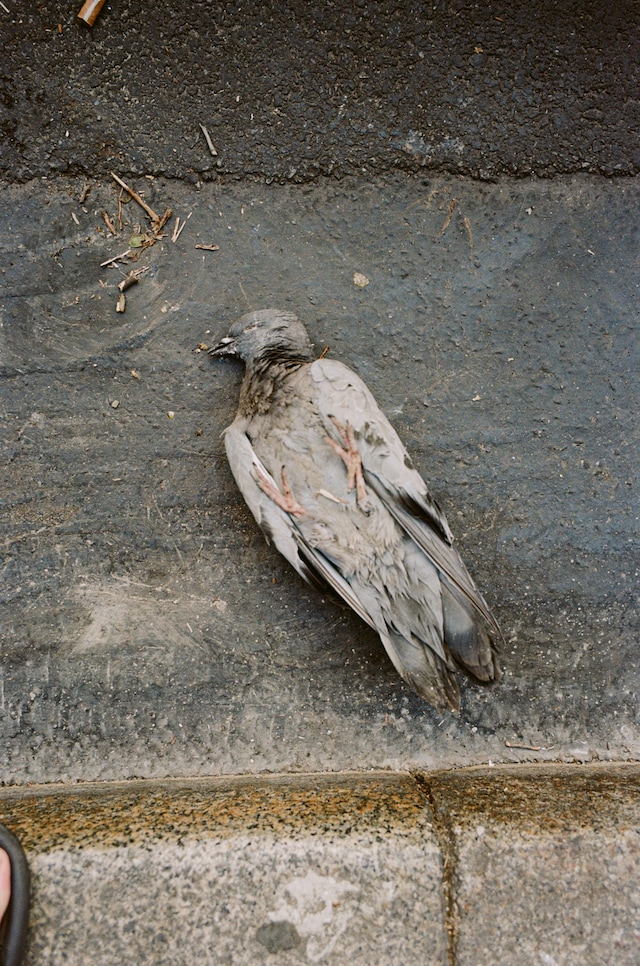 PFWM-Jun25-Street-YuF-000092230036 30