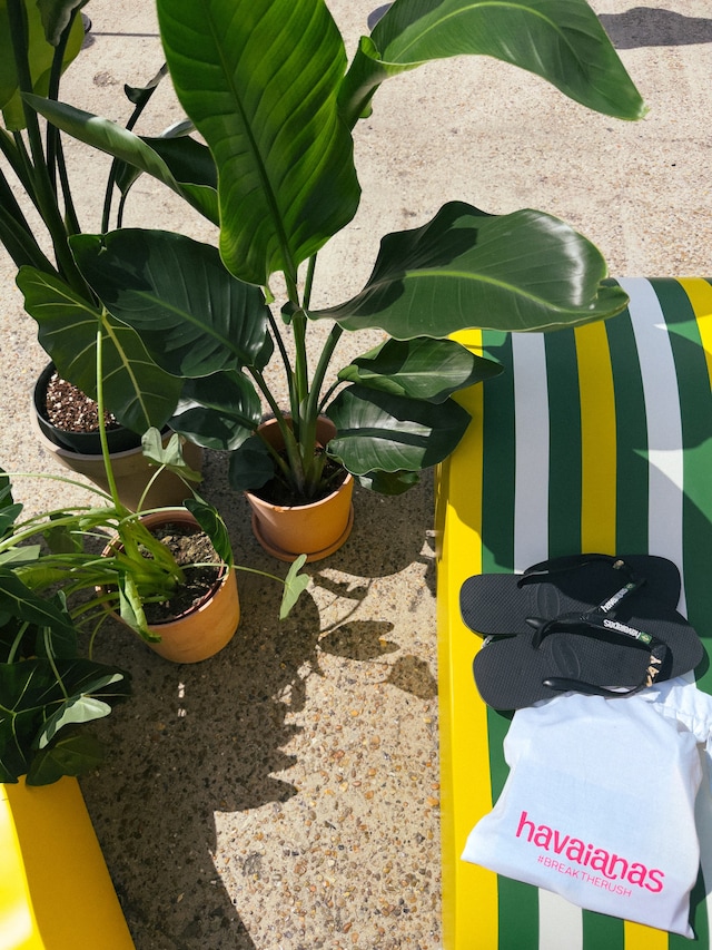 House of Havaianas-2 3