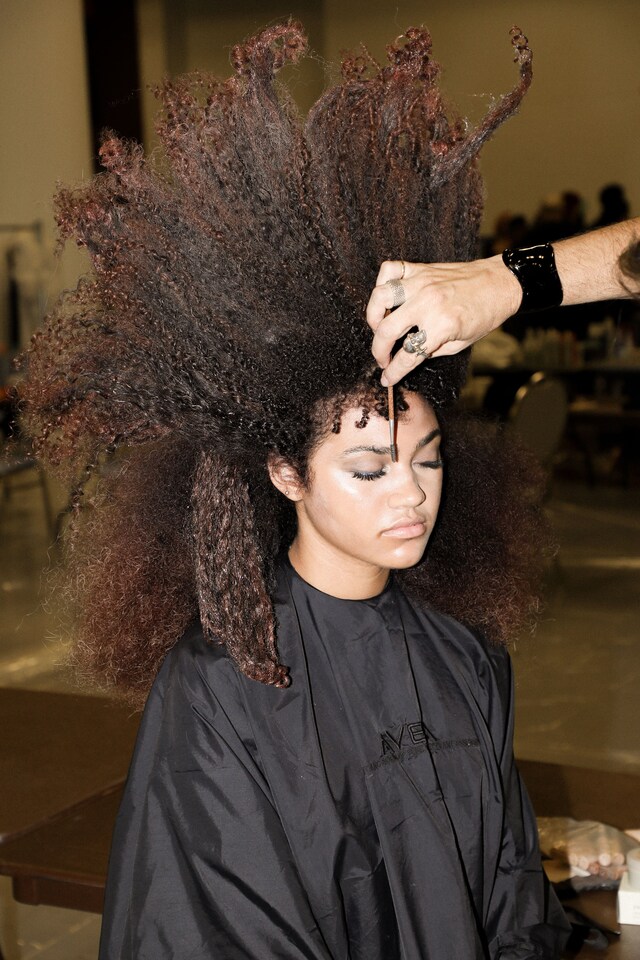 Aveda Congress 24