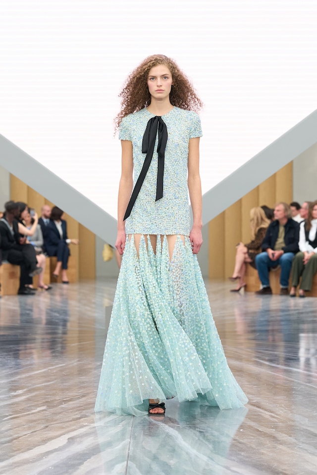 Dior SS26 36