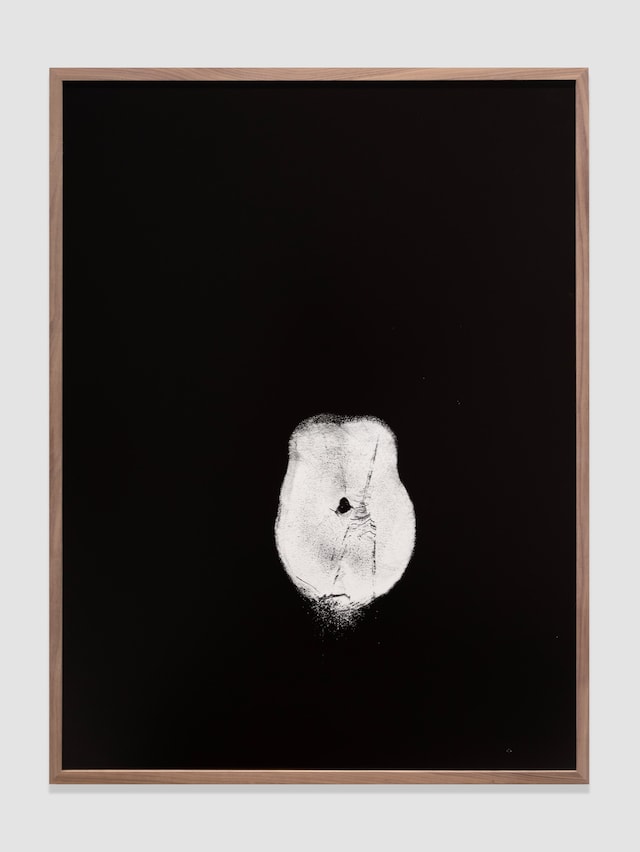 Company, Frieze 2025 6