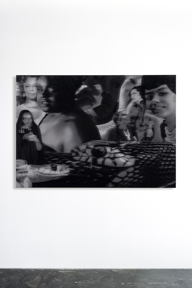Kandis Williams, Art Basel Paris (2025), Heidi, Berlin 0