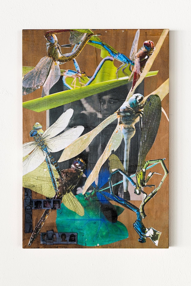 Kandis Williams, Art Basel Paris (2025), Heidi, Berlin 4