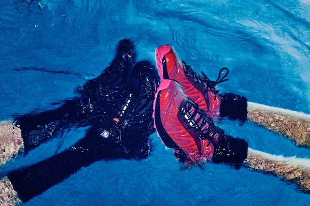 ARIES X SALOMON RETURNS