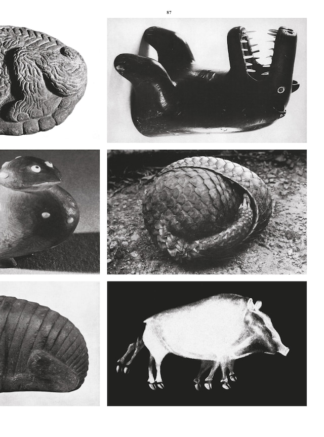 After Noon 01, magazine, art, photography, London 10