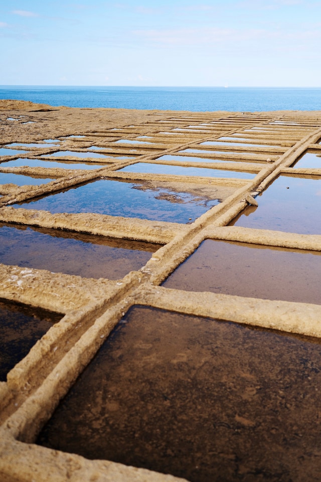  Robinson Barbosa (3) 7