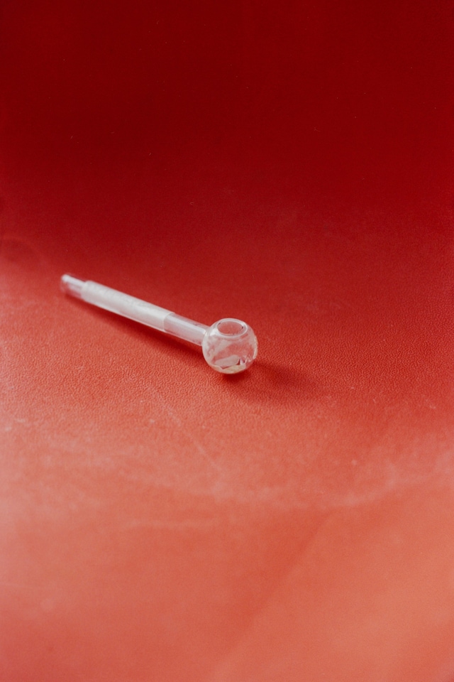 Ezekiel, Somewhere between a dog and a doll, photo book 9