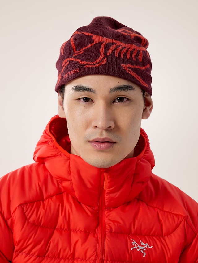 Arc’teryx Bird Head beanie