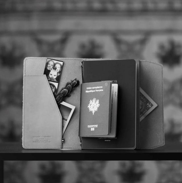 Louise Carmen Journal 